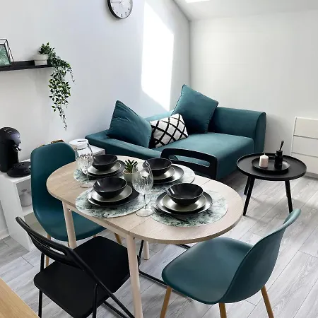 Cosy Torcy 2 Pieces Entre Paris Et Appartement